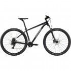 Cannondale Trail 8 GRY 2021